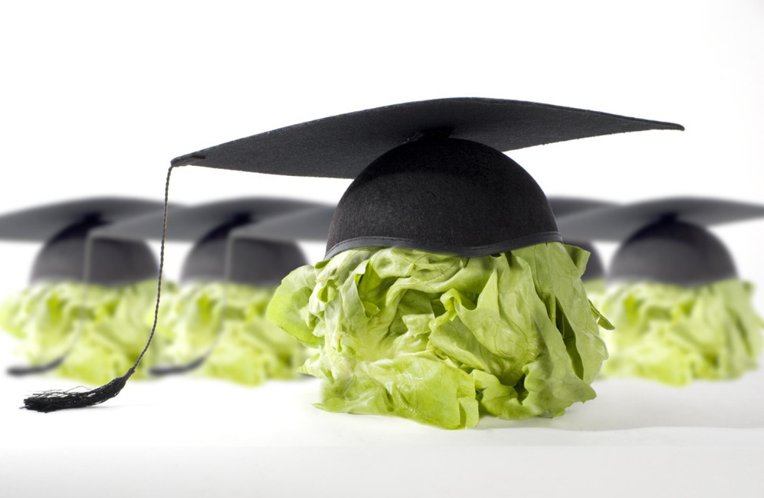 o-brain-food-facebook