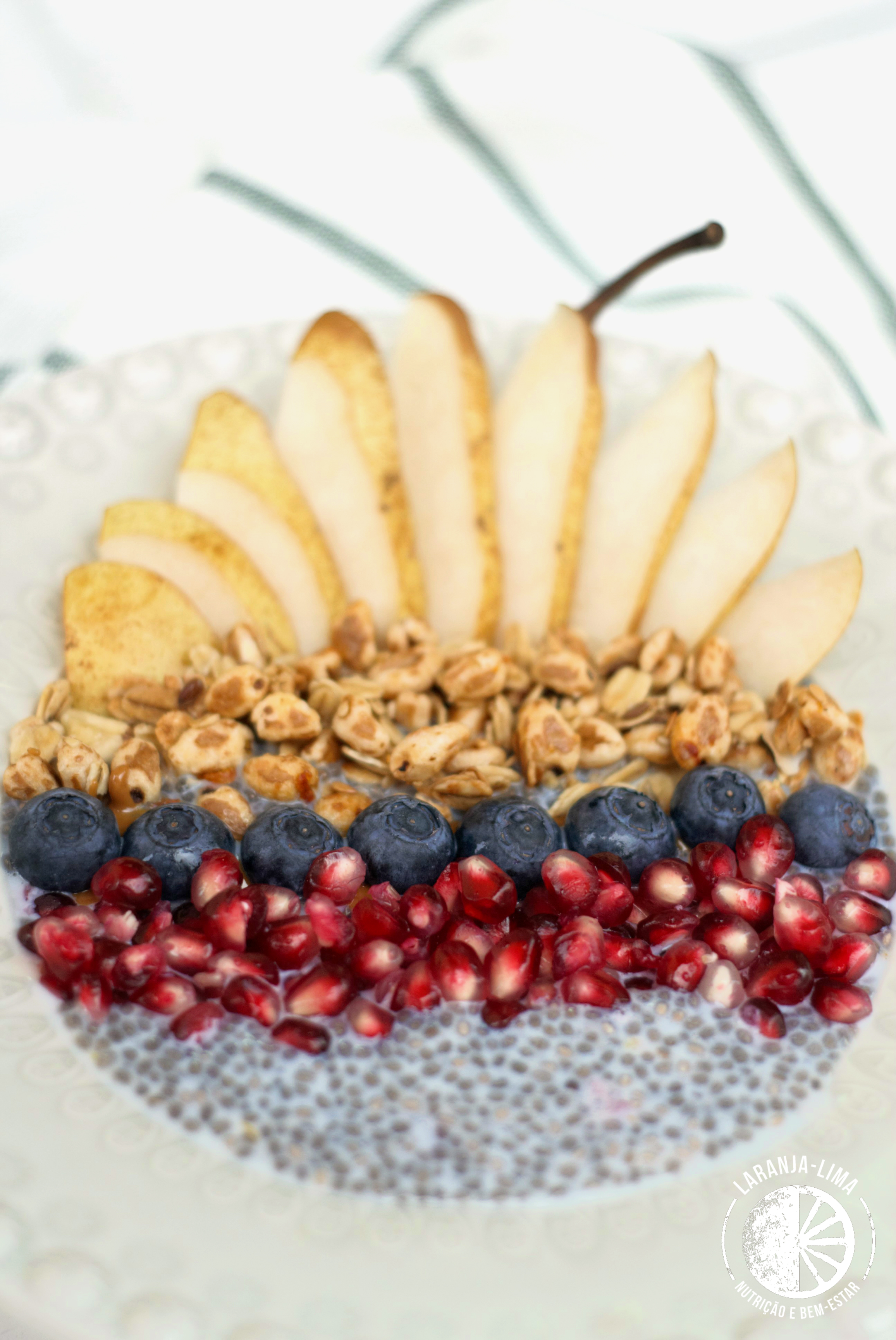 logoDSC_0421 (2).jpg