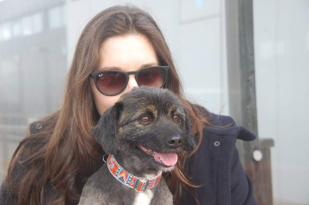 FB_IMG_1535040541155